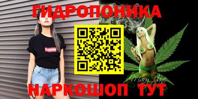 прущие крисы Абинск