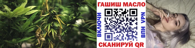 OMG   Абинск  Дистиллят ТГК концентрат 