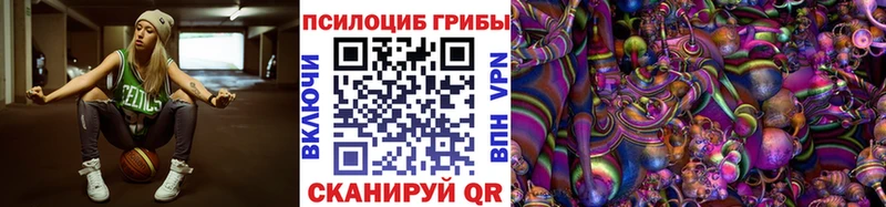 купить  сайты  Абинск  Галлюциногенные грибы Cubensis 
