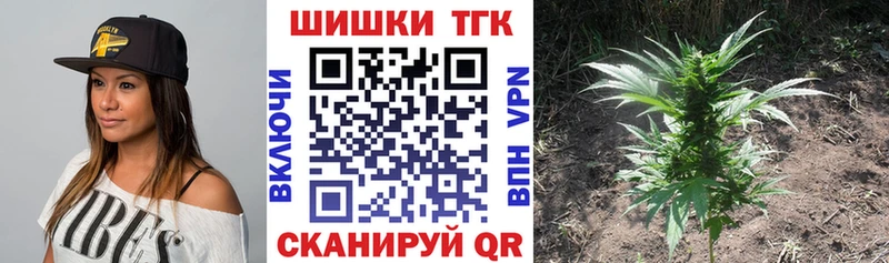 где найти Абинск МАРИХУАНА Ganja
